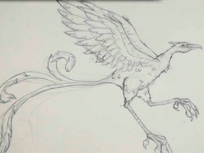 Cómo dibujar un ave Fénix parte 1 -EICA ALBACETE