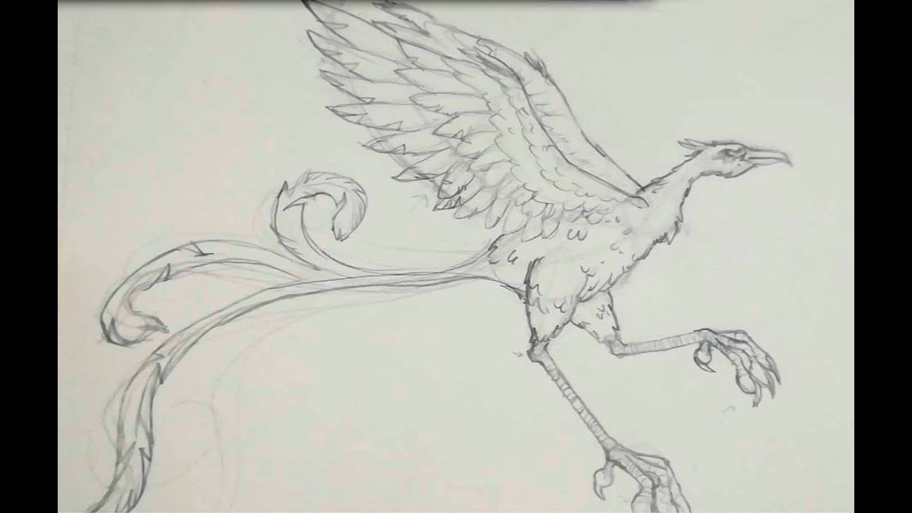 Cómo dibujar un ave Fénix parte 1 -EICA ALBACETE