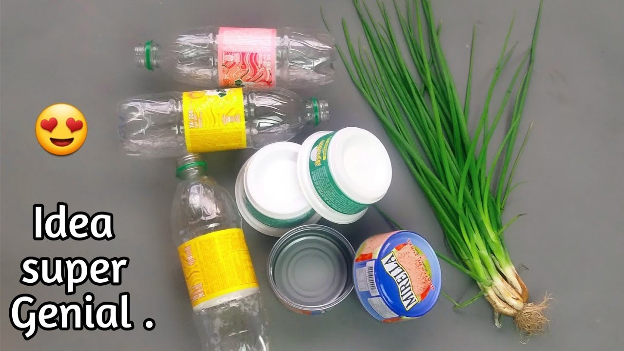 Hagamos Un Proyecto Reciclando Estos Materiales ♻️. Ideas creativas Para El Hogar. #crea