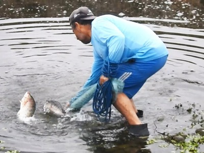 HOMBRE pesca Grandes #TILAPIAS usando la Técnica del GATO CAZADOR.  Sigue la acción del vídeo