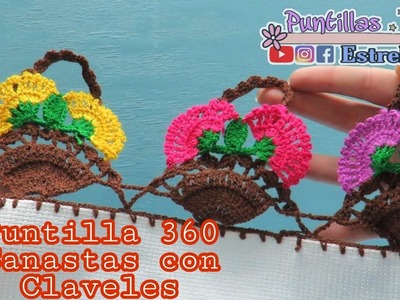 Puntilla 360 Canastas con  claveles