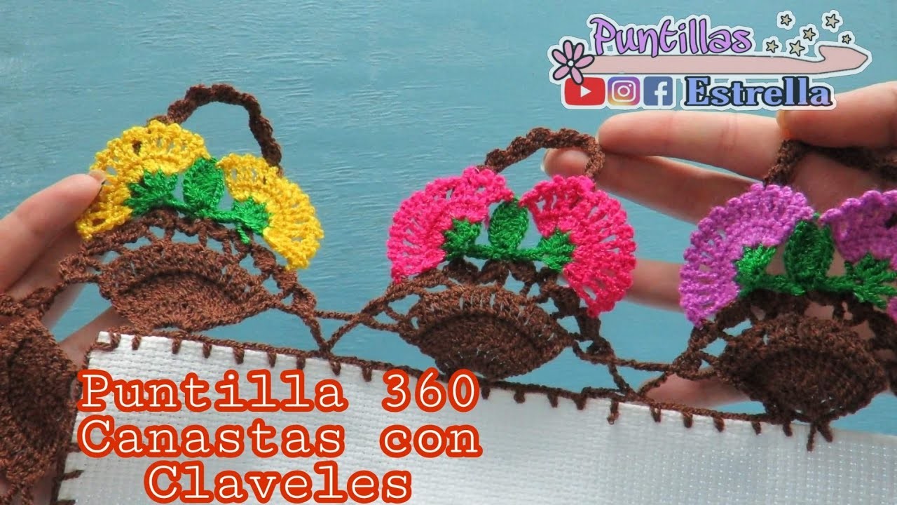 Puntilla 360 Canastas con  claveles