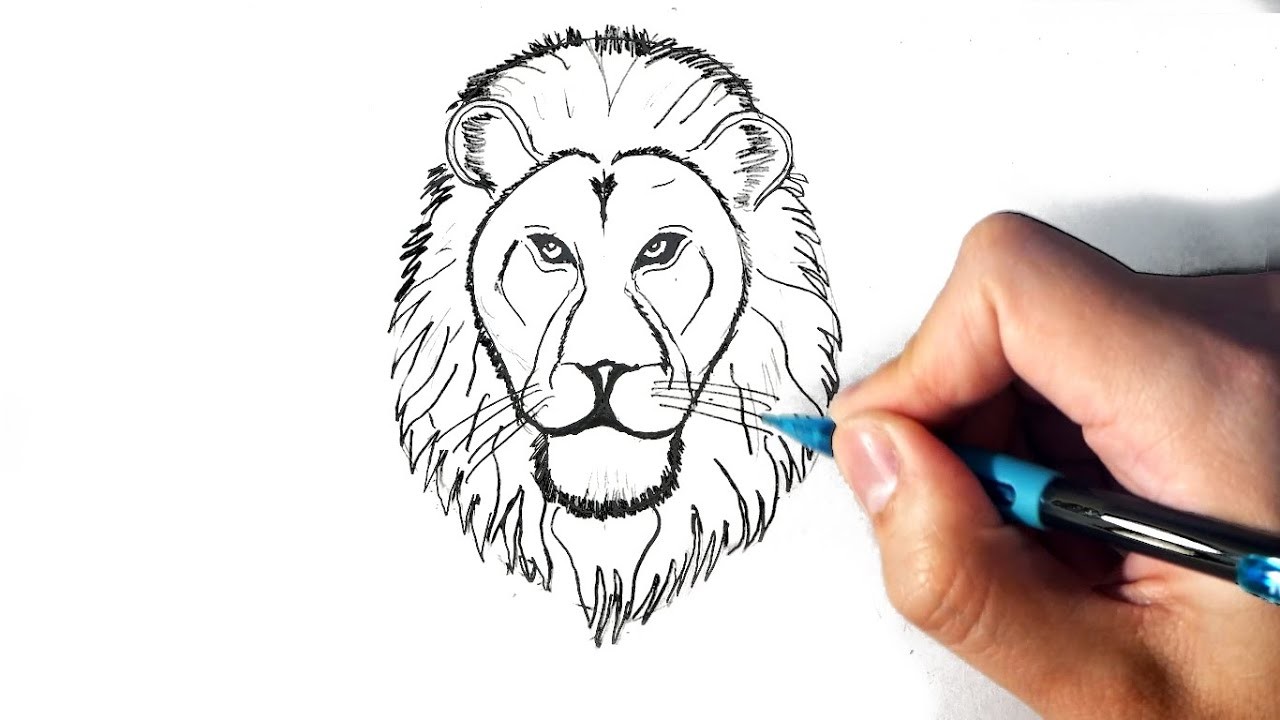 Cómo dibujar un león paso a paso fácil - Dibujos de leones