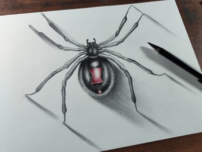 Cómo Dibujar una Araña Realista Paso a Paso a Lápiz - (Muy Fácil)