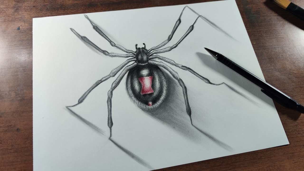 Cómo Dibujar una Araña Realista Paso a Paso a Lápiz - (Muy Fácil)