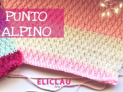 Esquema de Puntos y Patrones #10 | PUNTO ALPINO | Scheme of points | EliClau