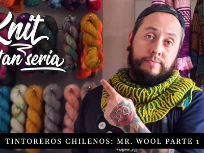 Knit tan Seria 18 - Tintoreros chilenos: Mister Wool parte 1