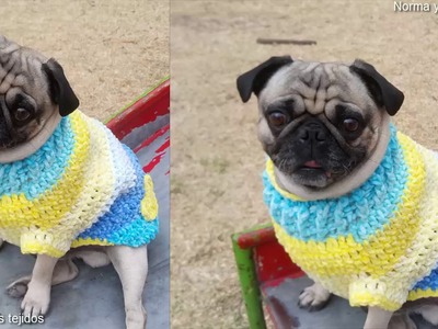 ????Suéter a crochet para perros #crochet #normaysustejidos ????