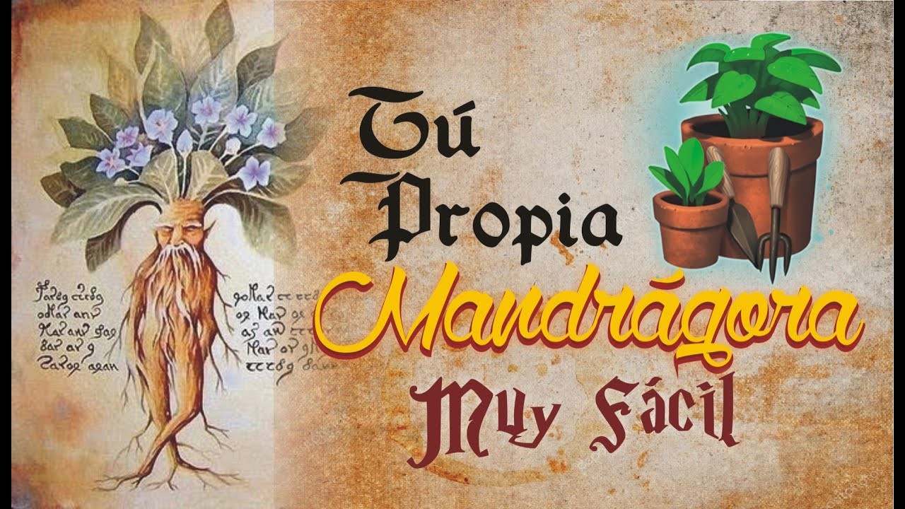TU PROPIA MANDRAGORA | FACIL | DIY | HARRY POTTER [►] CREADO A MANO