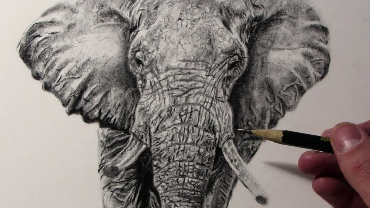 Cómo dibujar un Elefante