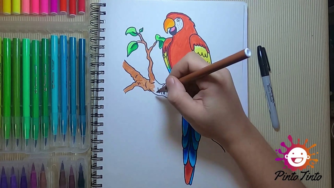 Como #dibujar y #pintar una guacamaya - How to #draw and #paint a macaw