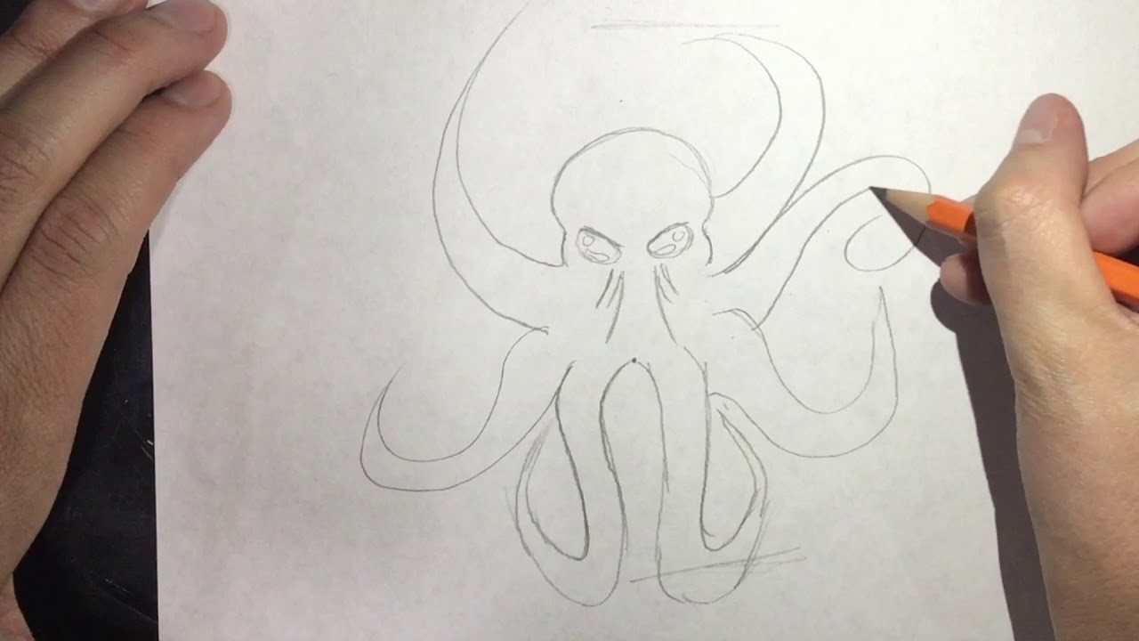 Dibujo de pulpo paso a paso