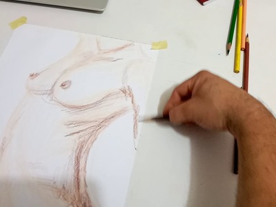 DIBUJO DE TORSO A LAPIZ DE COLOR