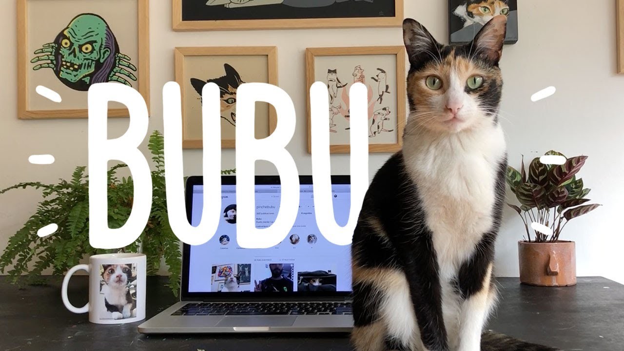 Pinche Bubu | Bienvenidos a mi CATnal | Gatos y Diseño