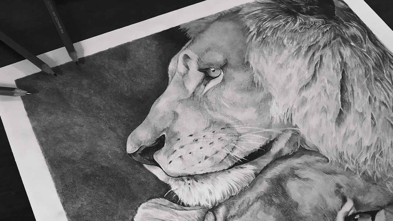 Dibujo de león | Cámara rápida. Time-lapse | Parte 1 de 2 | Cómo dibujar un león | Speed drawing