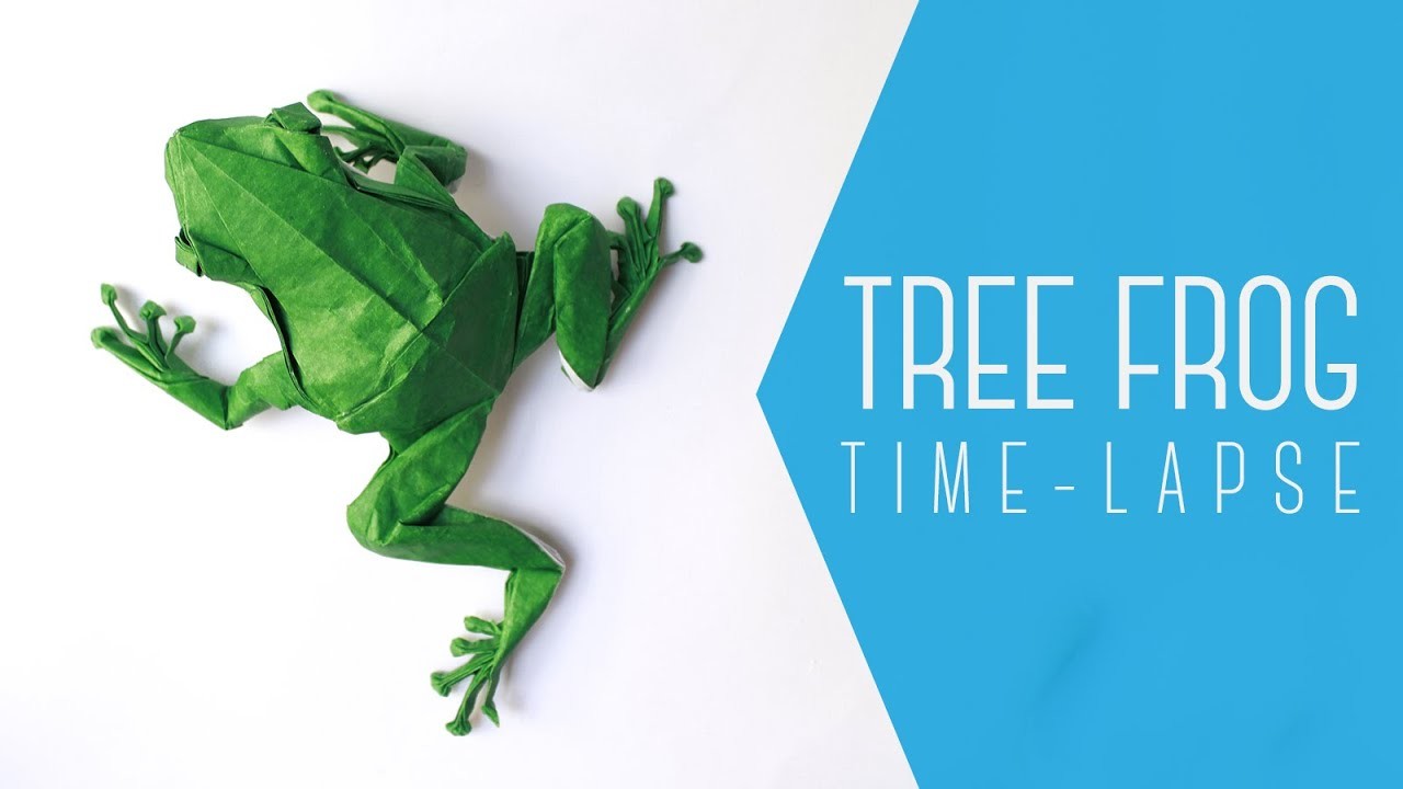 TREE FROG (SATOSHI KAMIYA) – ORIGAMI TIME-LAPSE