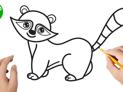 Cómo dibujar un mapache