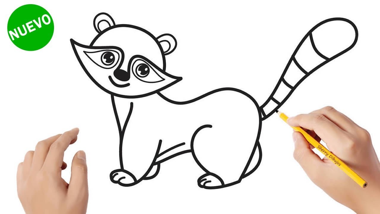 Cómo dibujar un mapache