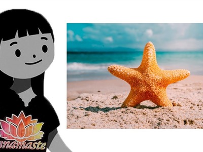 Anamaste yoga infantil: Fantasía guiada: Soy una estrella de mar #educacioninfantil