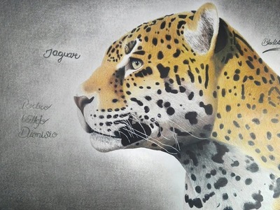 Cómo dibujar un jaguar realista | BladiArt'sCreating