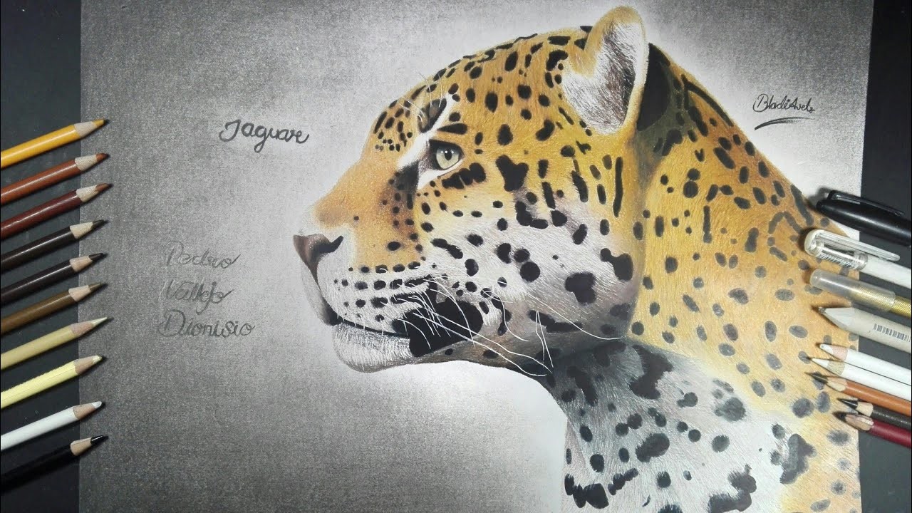 Cómo dibujar un jaguar realista | BladiArt'sCreating