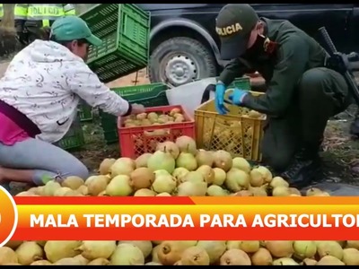 Top 2 - Déficit de precios en plaza de mercado