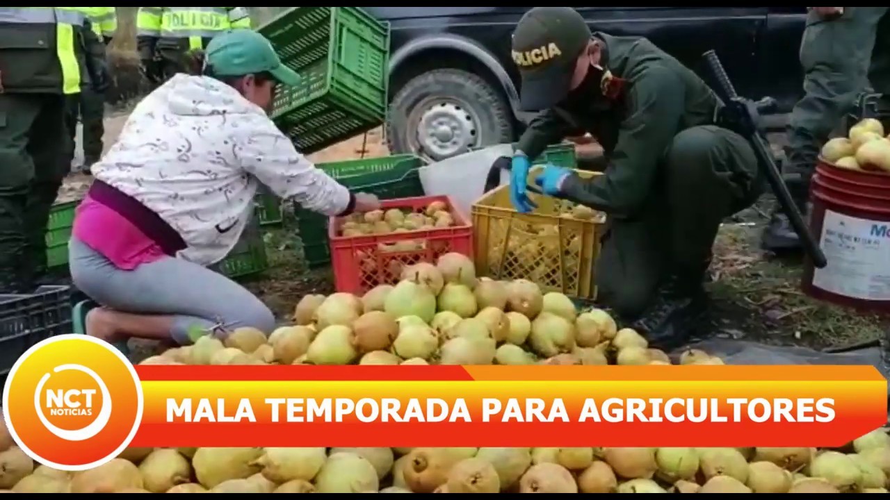 Top 2 - Déficit de precios en plaza de mercado