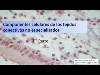 Células del tejido conectivo. Primera parte de tres videos. Hernán Aldana