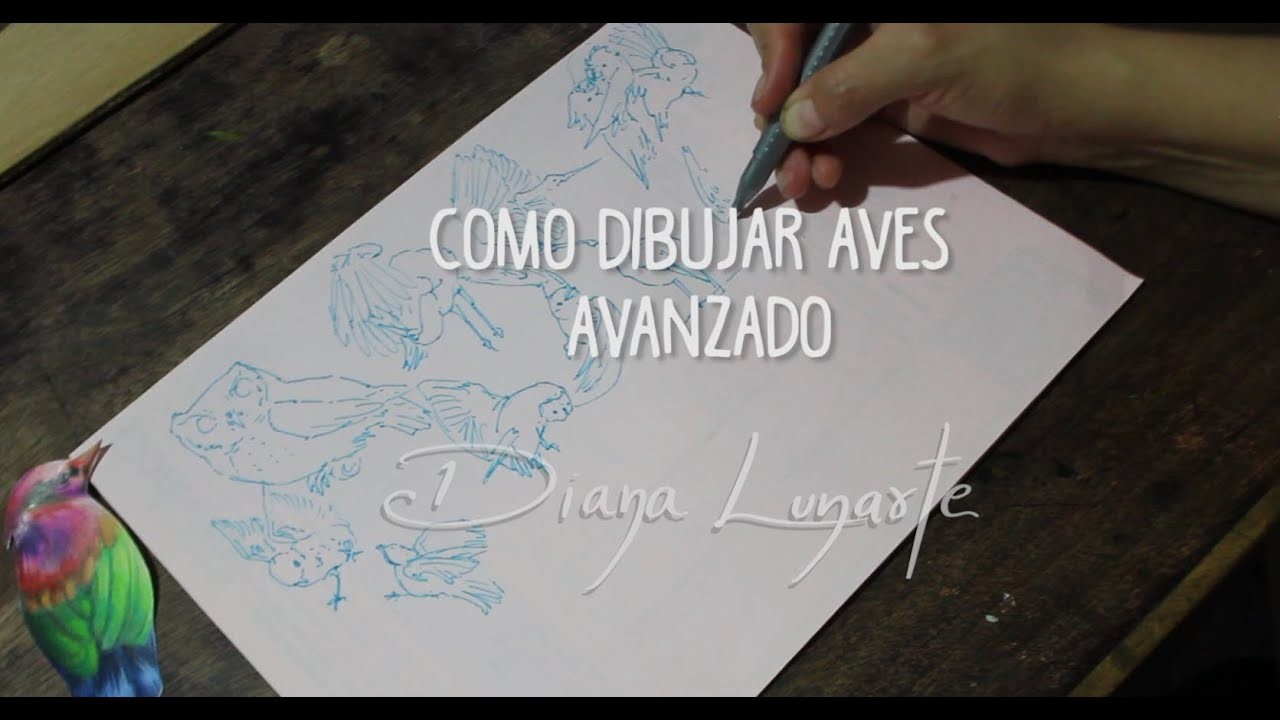 Como dibujar aves- tutorial dibujo AVANZADO - Diana Lunarte