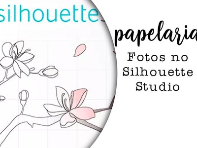 Como fazer uma foto Polaroide usando o Silhouette Studio