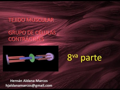 Tejido muscular. Octavo video de  9. Hernán Aldana Marcos