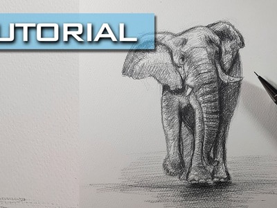 Aprende a Dibujar un Elefante Semi Realista en Sólo 30 MINUTOS