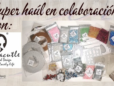 Colaboracion alina craft