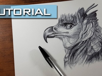 Cómo Dibujar un Águila con Bolígrafo, Muy Fácil