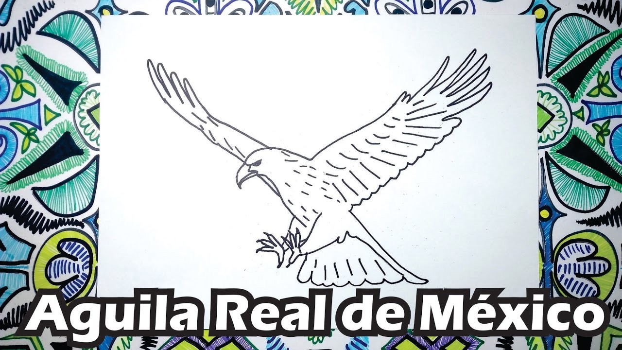 Aprende a dibujar un Aguila Real Mexicana paso a paso