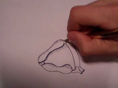 Como dibujar un corazon (Tutorial paso a paso) HD