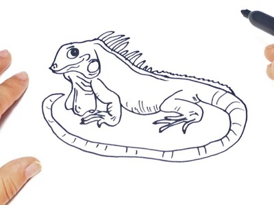 Como dibujar un Iguana paso a paso | Dibujo facil de Iguana