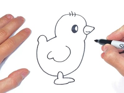 Cómo dibujar un Pollito Paso a Paso | Dibujo de Pollo