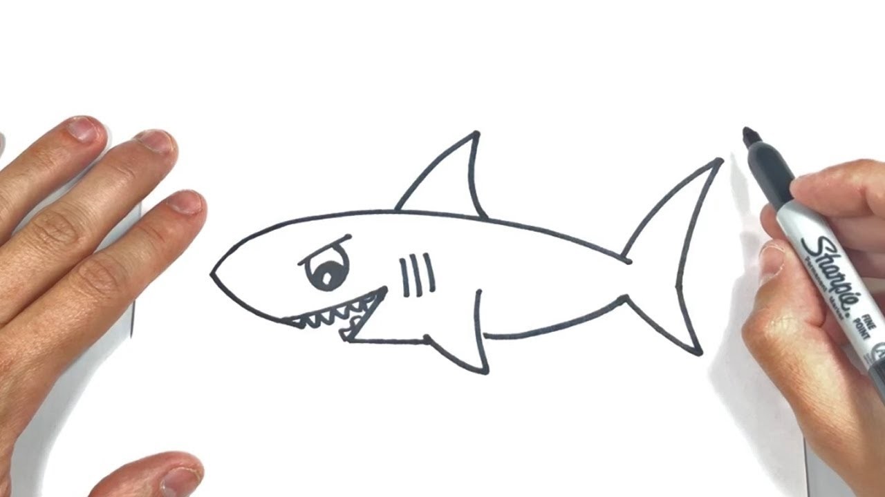 Cómo dibujar un Tiburon Paso a Paso y fácil