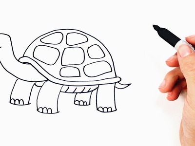 Cómo dibujar un Tortuga paso a paso | Dibujo fácil de Tortuga
