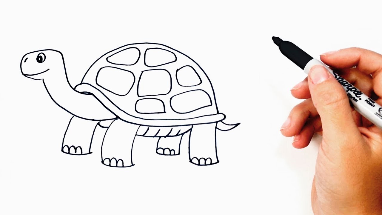 Cómo dibujar un Tortuga paso a paso | Dibujo fácil de Tortuga