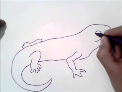 Como dibujar una salamandra | como dibujar una salamandra paso a paso