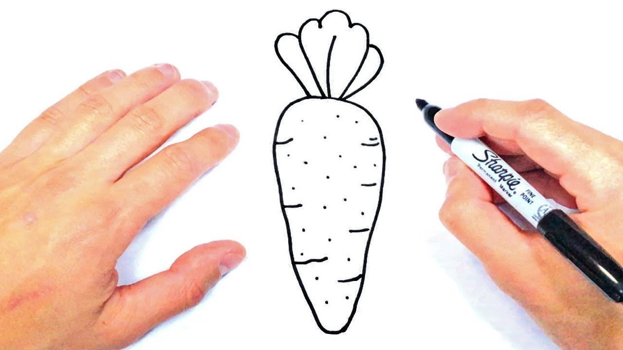 Cómo dibujar una Zanahoria Paso a Paso | Dibujo de Zanahoria