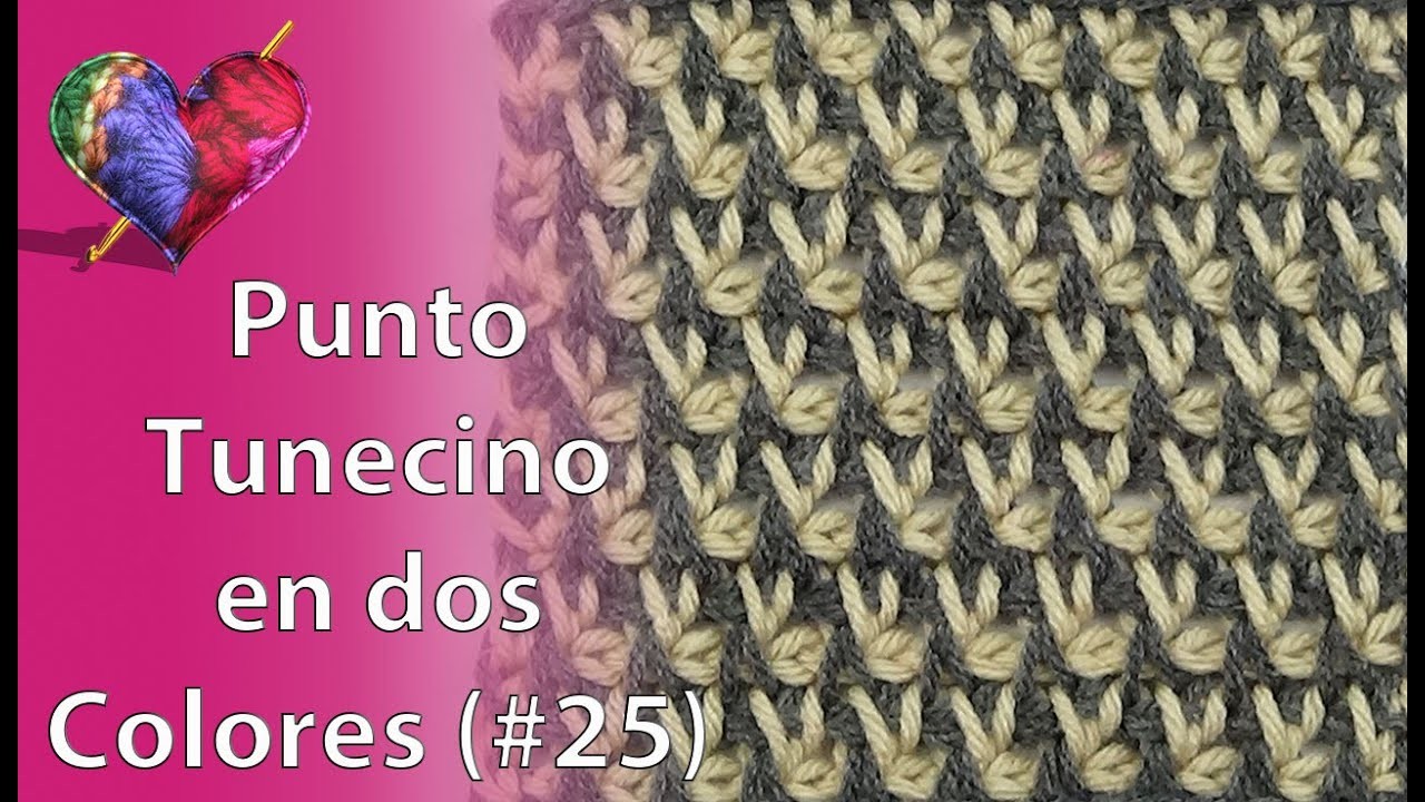PUNTO en CROCHET TUNECINO en DOS COLORES (# 25)