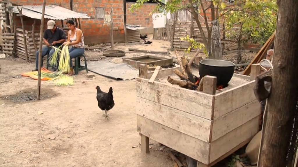 Tejido tradicional del sombrero ecuatoriano de paja toquilla