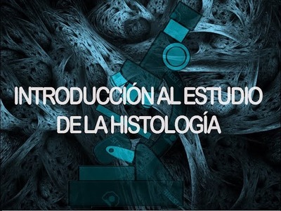 Tejidos - Conceptos básicos | Histología