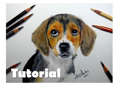 Cómo dibujar un perro | Cómo dibujar pelo de animal | Prismacolor