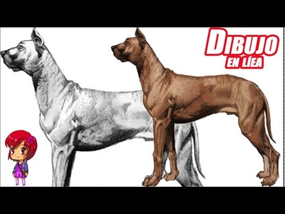 Como dibujar un perro (explicado)