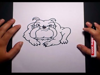 Como dibujar un perro paso a paso 16 | How to draw a dog 16