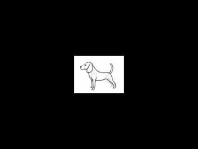 Cómo dibujar un perro raza Beagle - Dibujos de perros